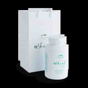 Maxilin